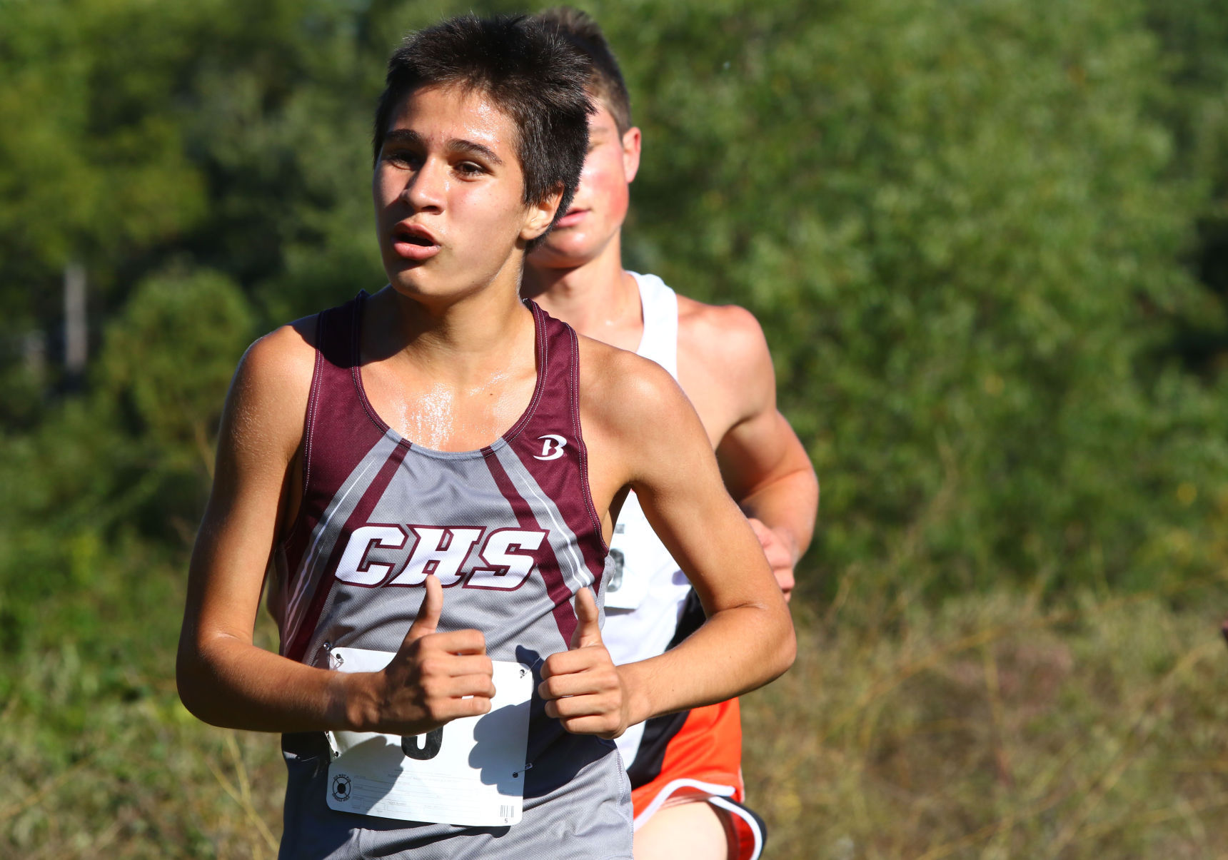 Gallery: Duneland Athletic Conference cross country meet